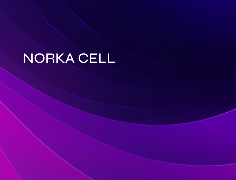 NORKA Cell